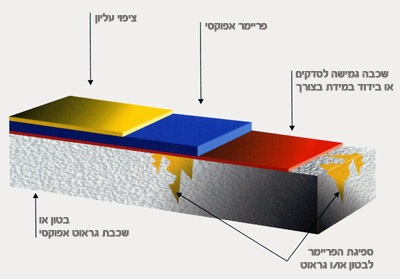 tarshim2